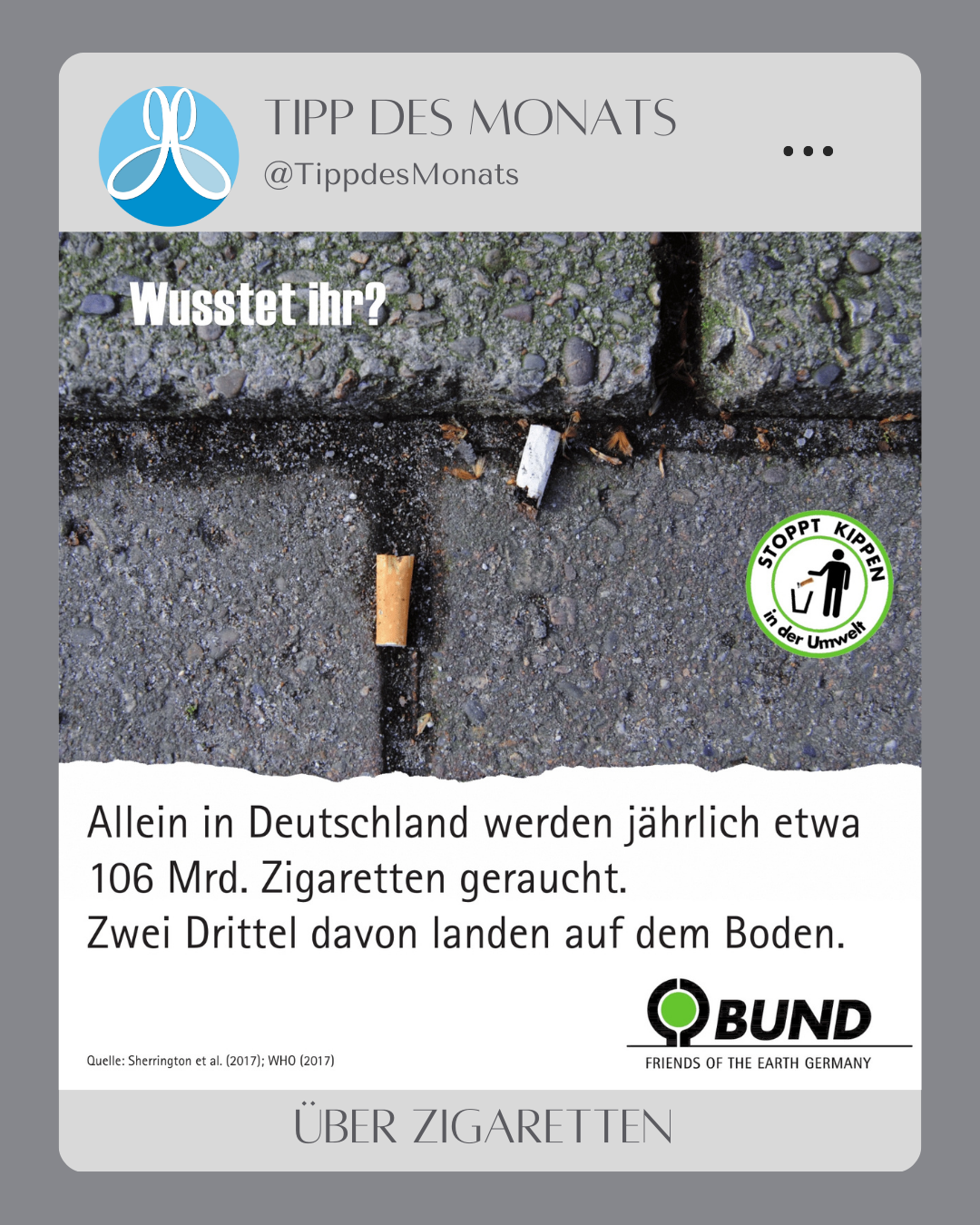 Grafik „Tipp des Monats“ mit einem Foto von Zigarettenstummeln auf einem Gehweg zwischen Pflastersteinen. Darüber steht „Wusstet ihr?“, daneben ein Symbol mit der Aufschrift „Stoppt Kippen in der Umwelt“. Darunter der Titel „Zigaretten“.